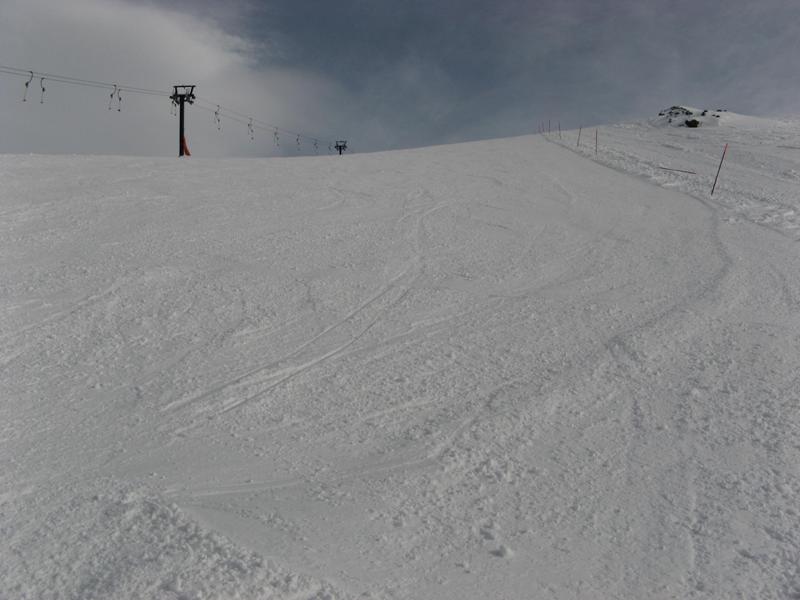 31257-img1334.jpg