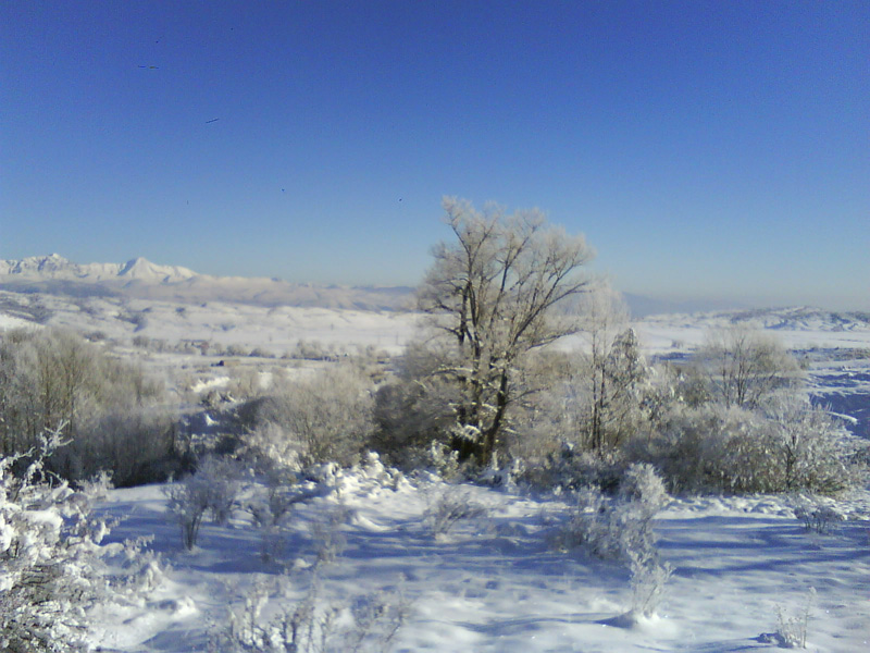 31545-foto2.jpg