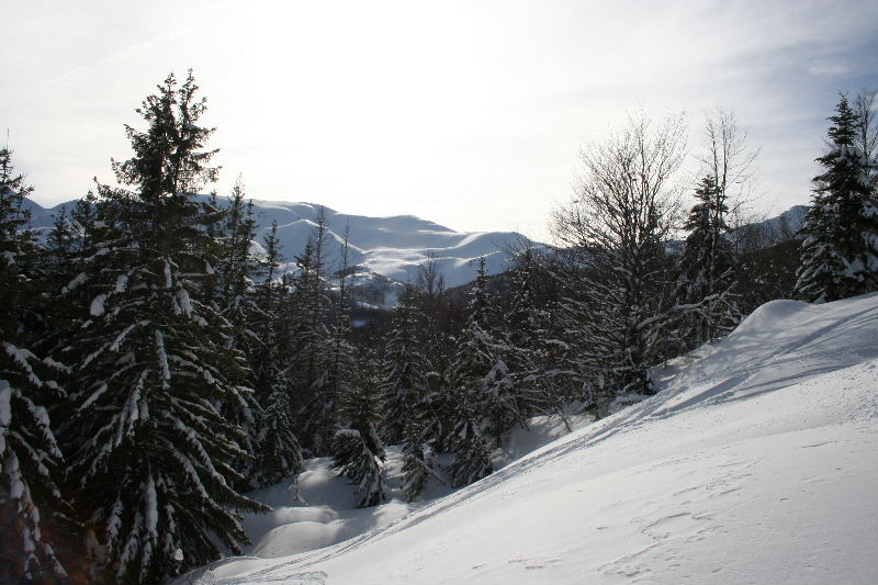 31635-img7010.jpg