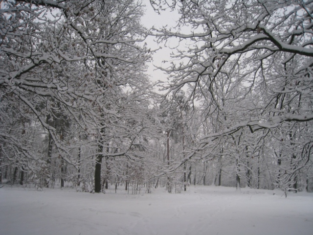 31639-img1459.jpg