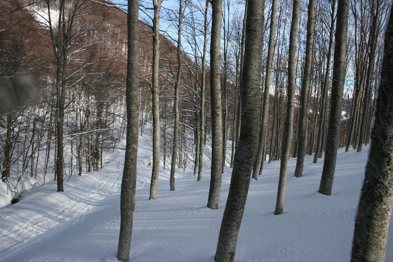 31640-img7013.jpg