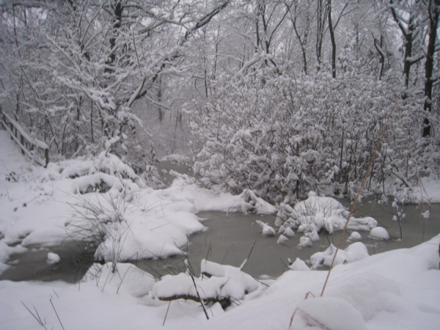 31647-img1464.jpg