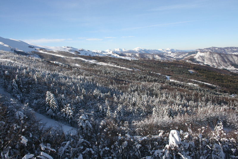 31648-img7068.jpg