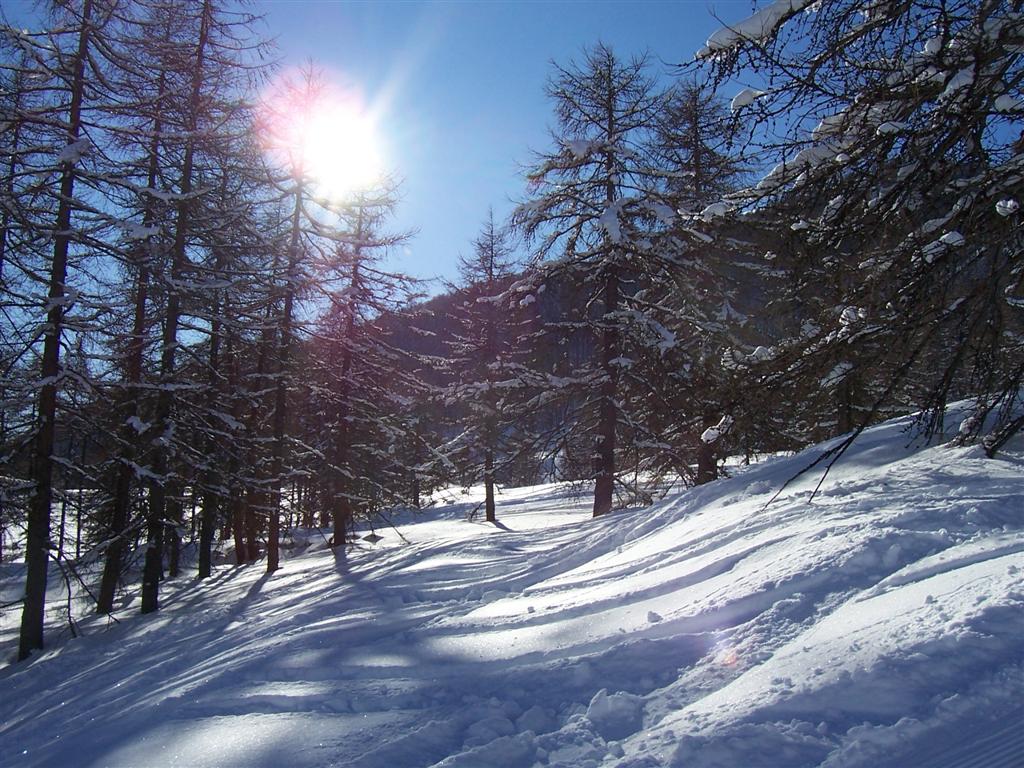32176-1000981-large.jpg