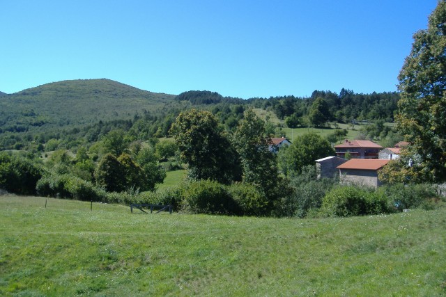32450-carsooooo.jpg