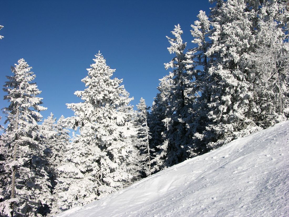 32686-seefeld010.jpg