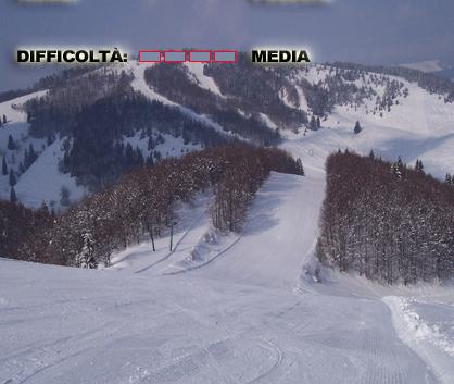 33210-pista.jpg