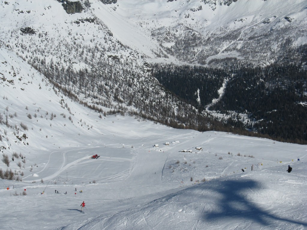 33536-11.jpg