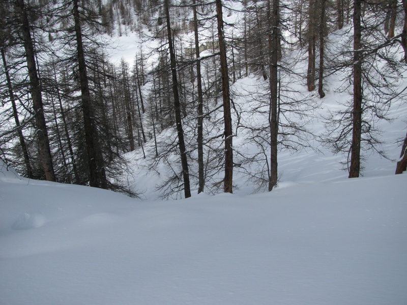 33735-img1062.jpg