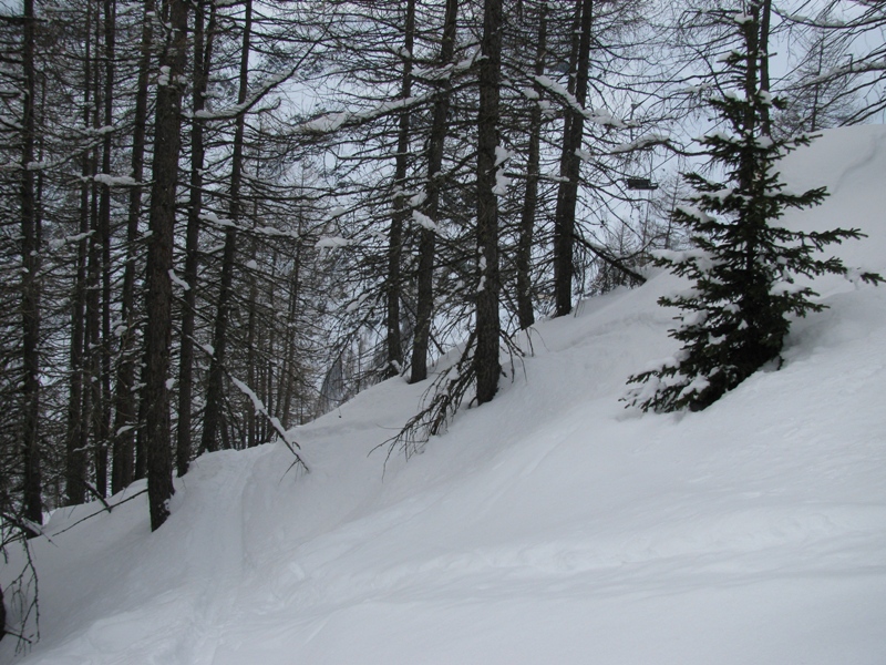 33741-img1071.jpg