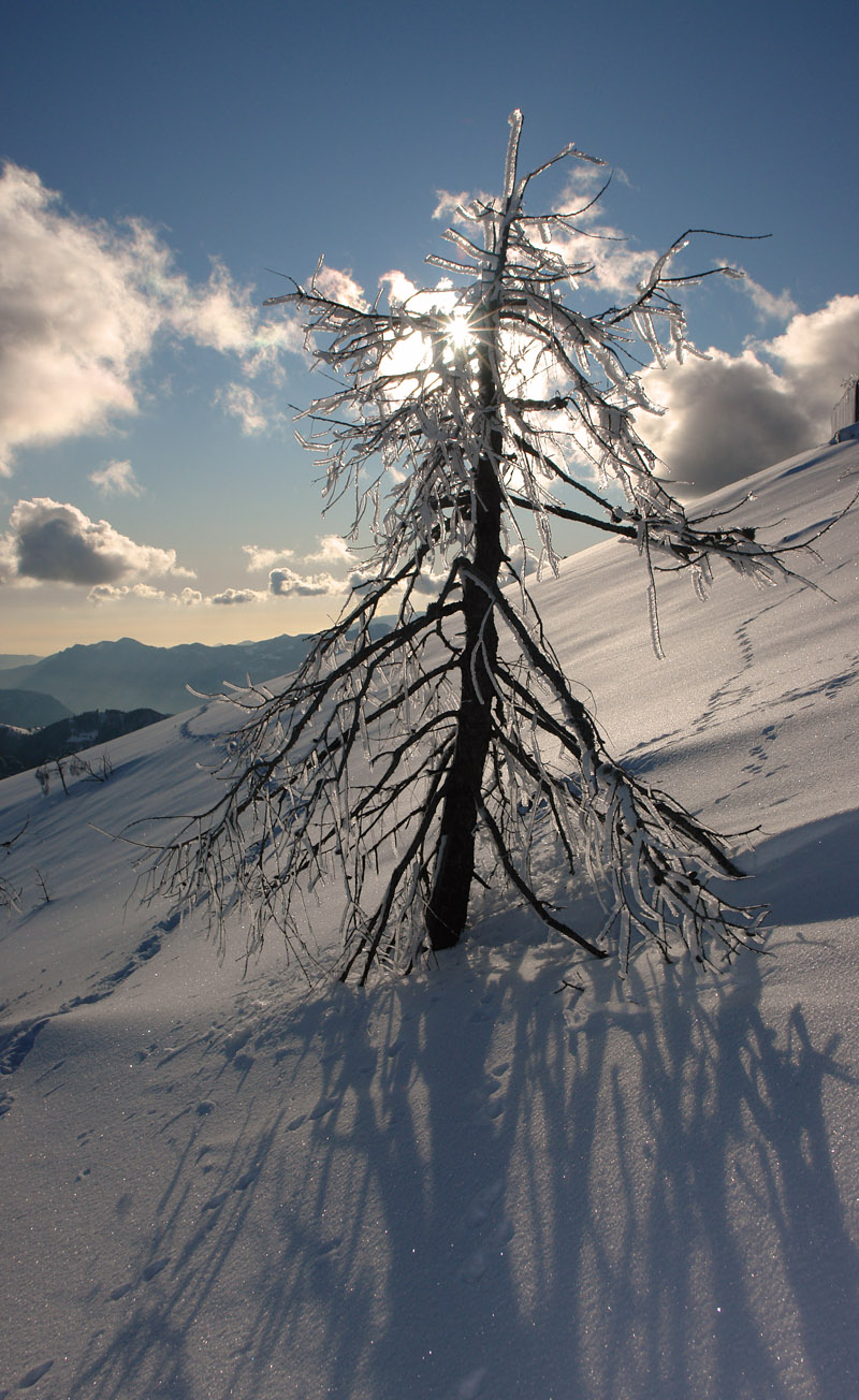 33899-valbona-2.jpg
