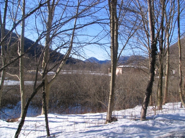 34050-copia-di-immagine-002.jpg
