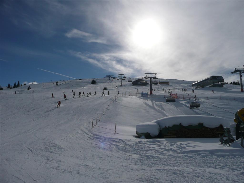 34258-p1030201-large.jpg