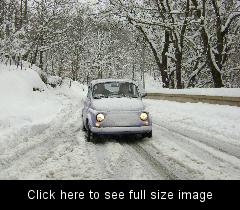 34632-tortorici-1.jpg