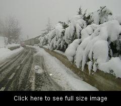 34633-tortorici-2.jpg