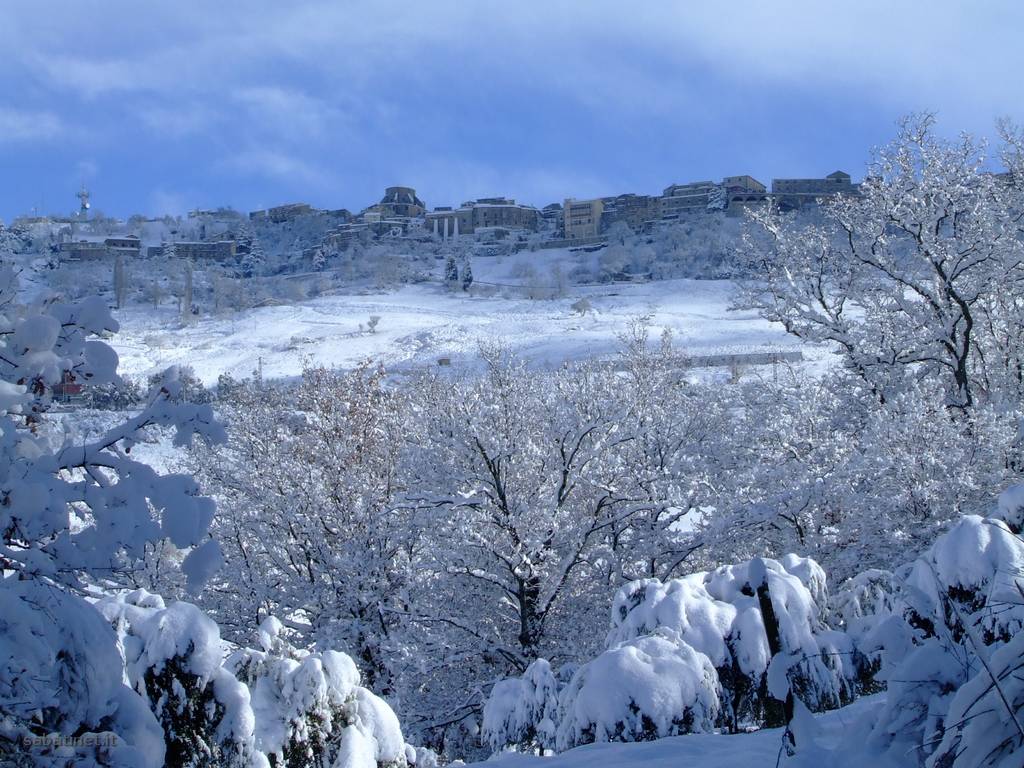 34644-vicino-palermo.jpg