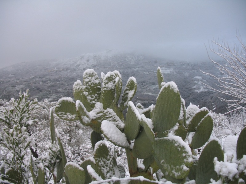 34648-capo-d-orlando.jpg