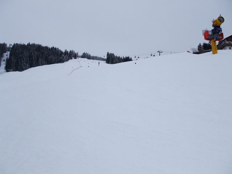 35160-dscf1455x.jpg