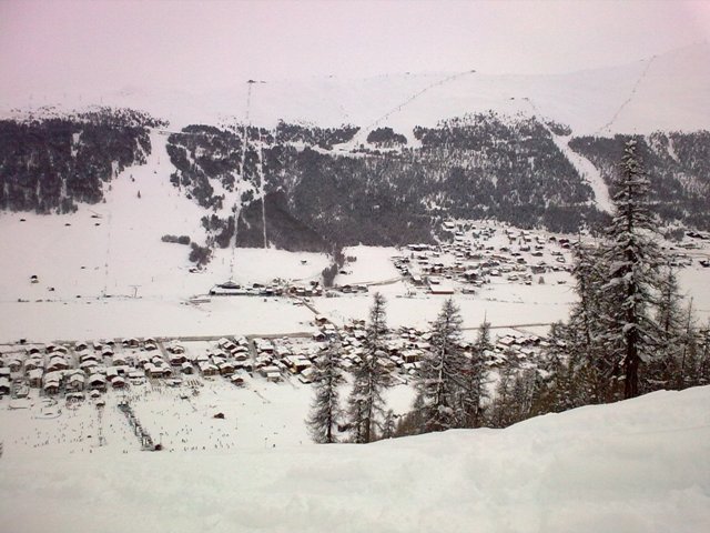 35526-08022009001.jpg