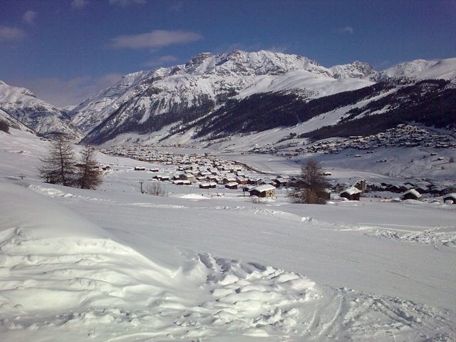 35538-12022009028.jpg