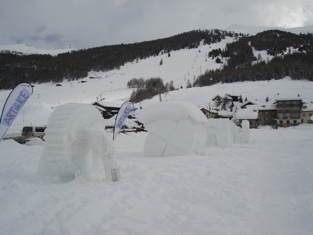 35546-dsc04921.jpg