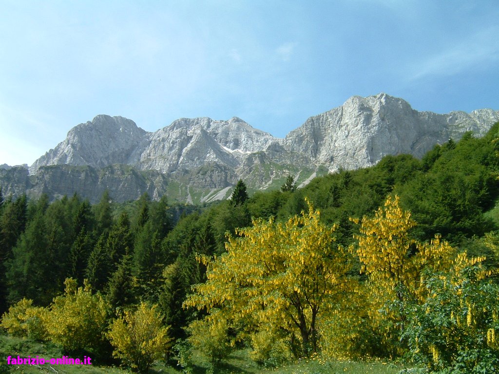 35696-arera-dall-alpe-corte2.jpg
