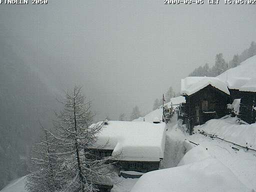 35733-findeln.jpg