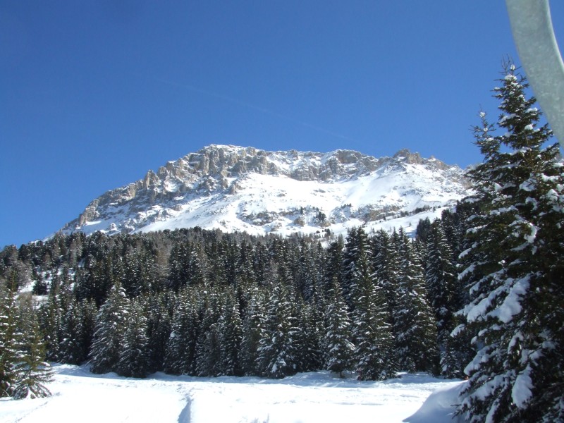 35860-dscf2465.jpg