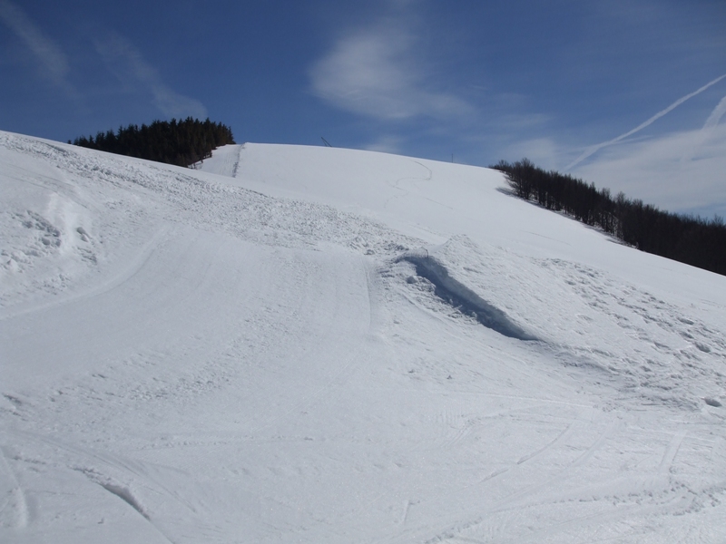 36658-dscf1572x.jpg
