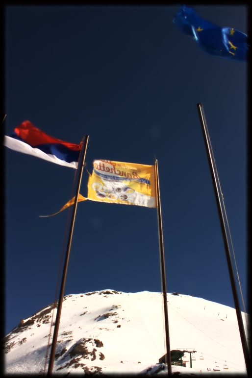 36800-bandiere.jpg