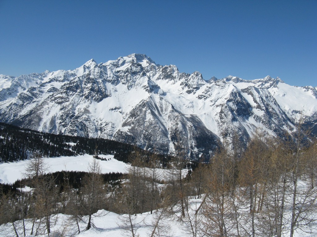 36895-12.jpg