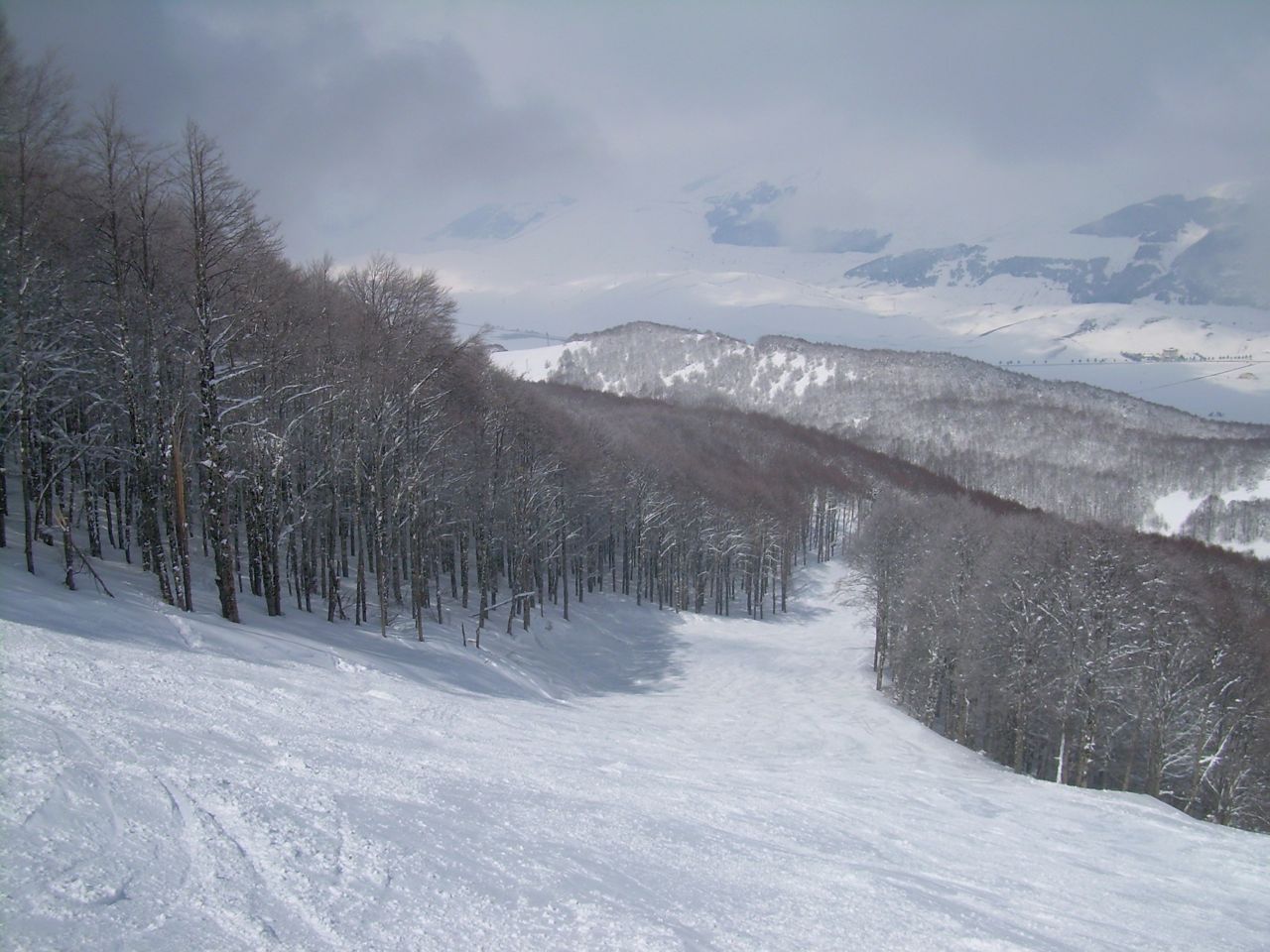 36946-ventidue20.jpg