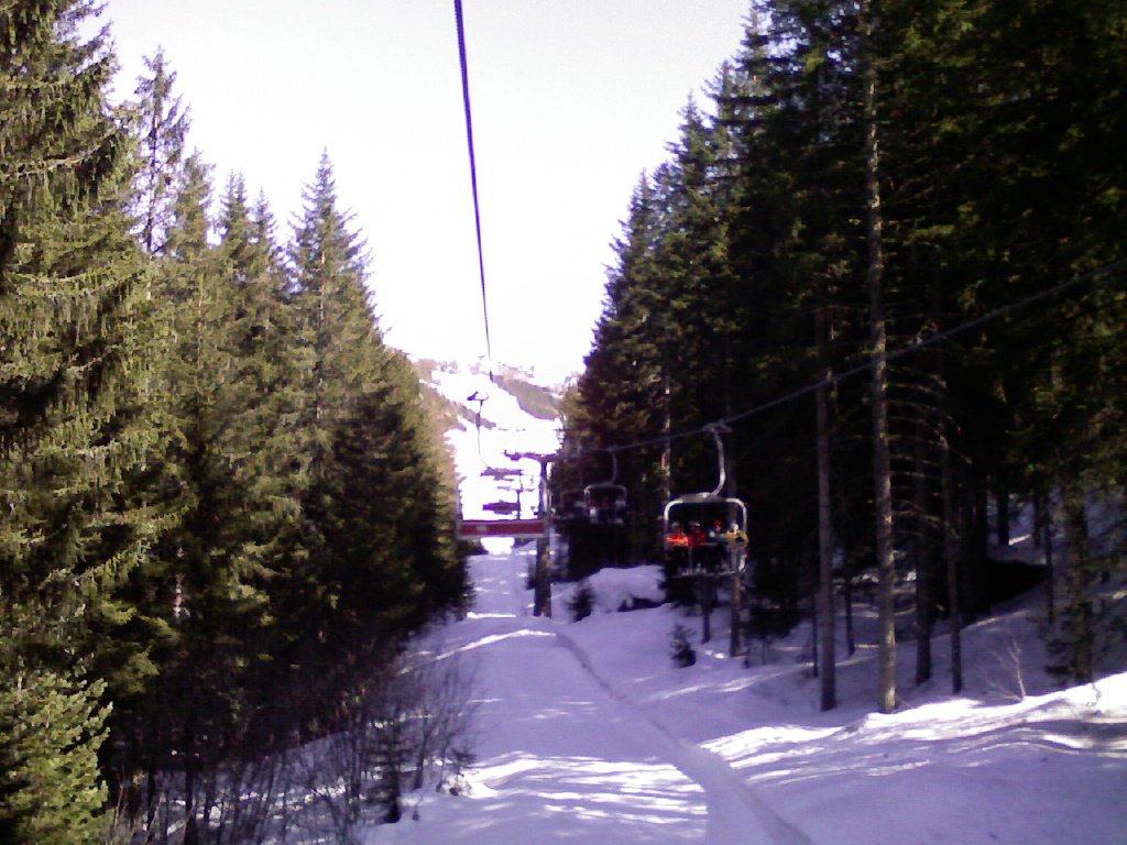 37008-borest.jpg