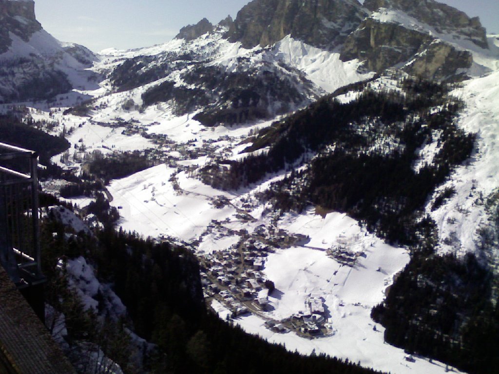 37009-col-alt.jpg