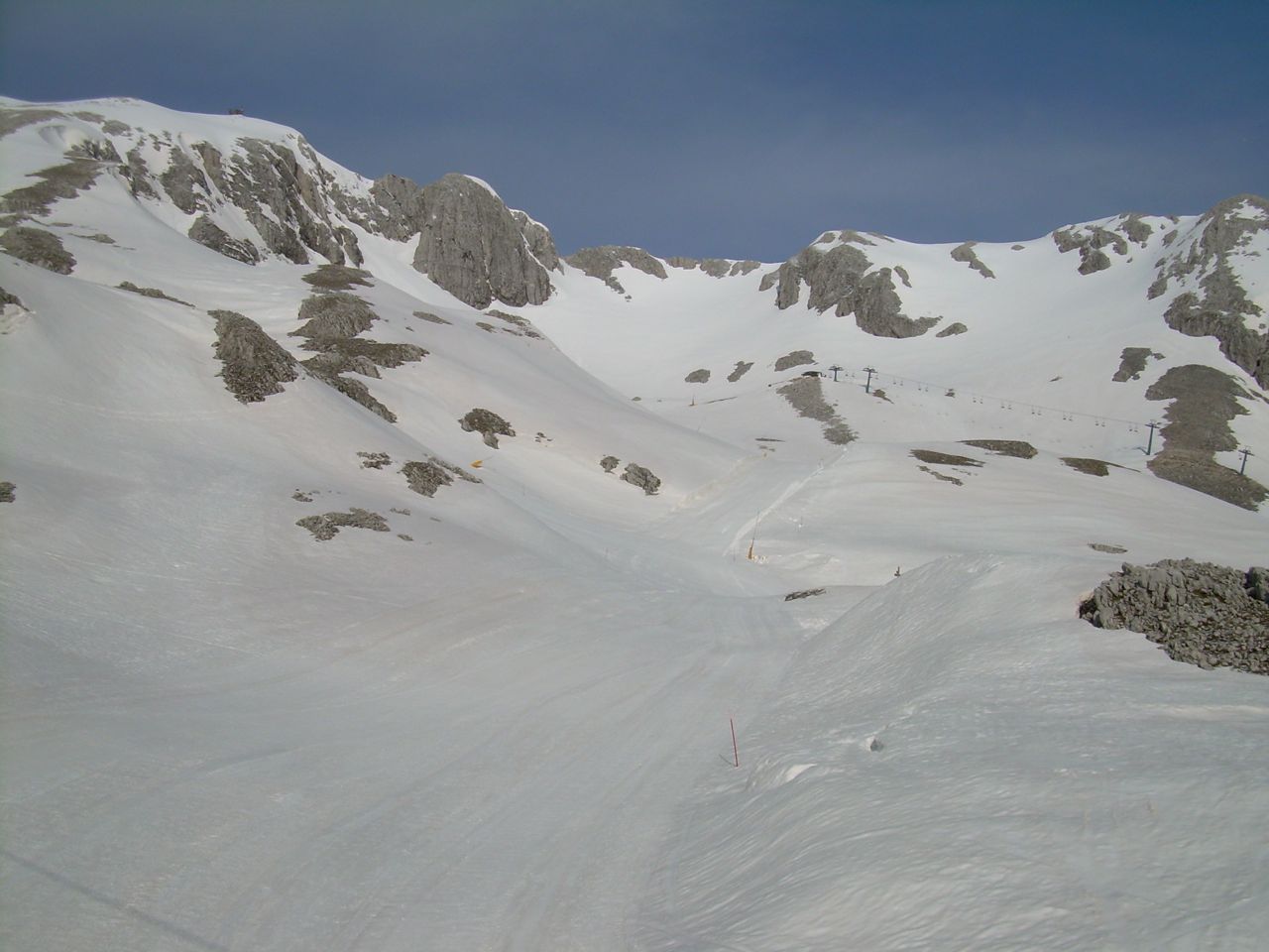 37915-cinquef.jpg