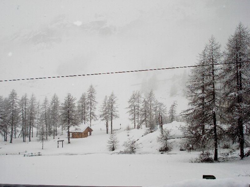 38387-19nevicata11-4-09.jpg