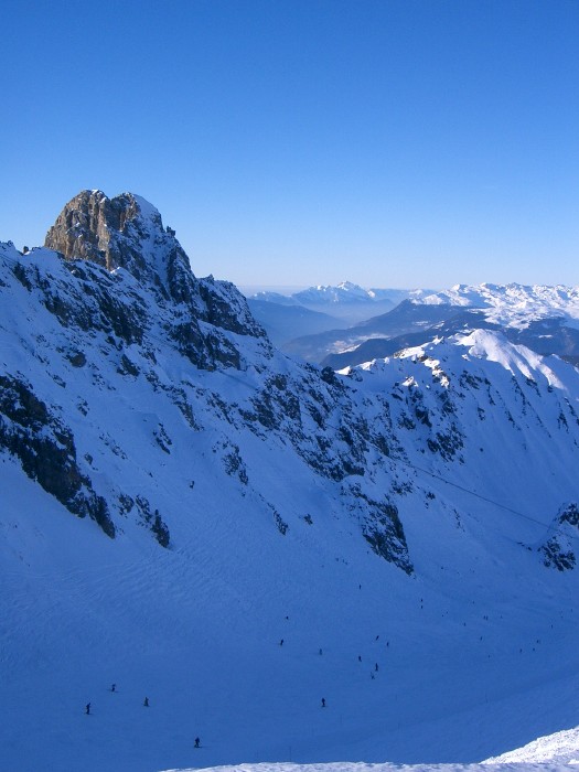 38943-28.jpg