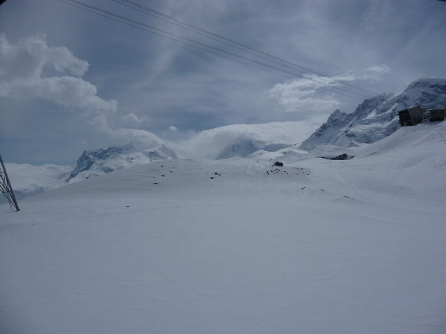 39767-p1010096.jpg