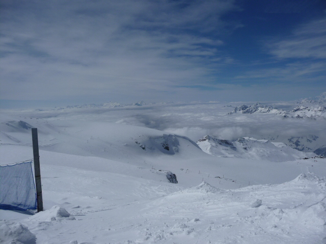 39768-p1010098.jpg