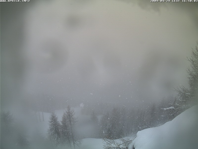 39948-webcam31.jpg