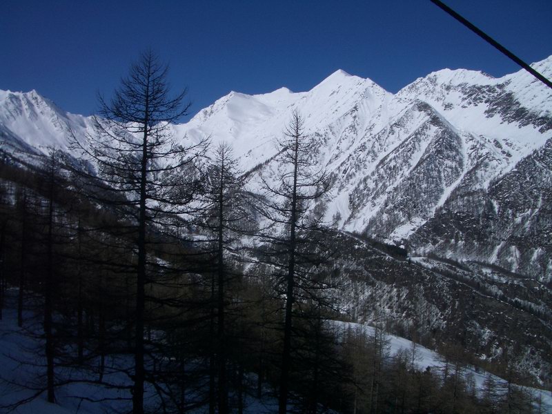 40135-prali-02.jpg