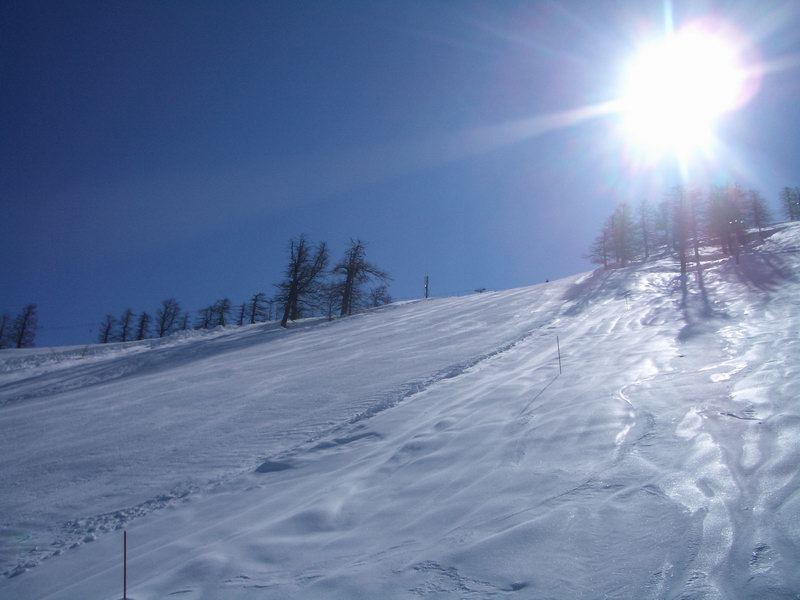 40136-prali-03.jpg