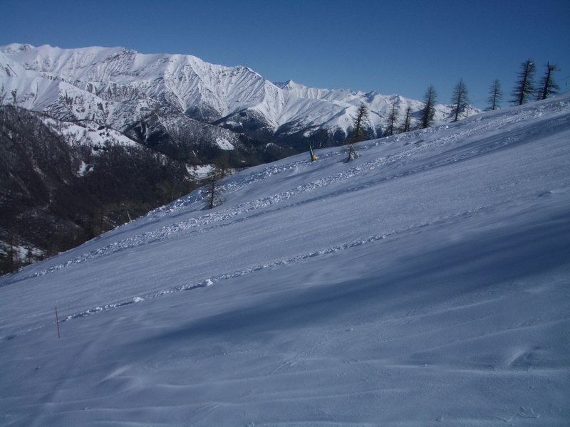 40138-prali-04.jpg