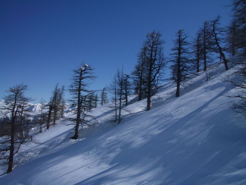 40139-prali-05.jpg