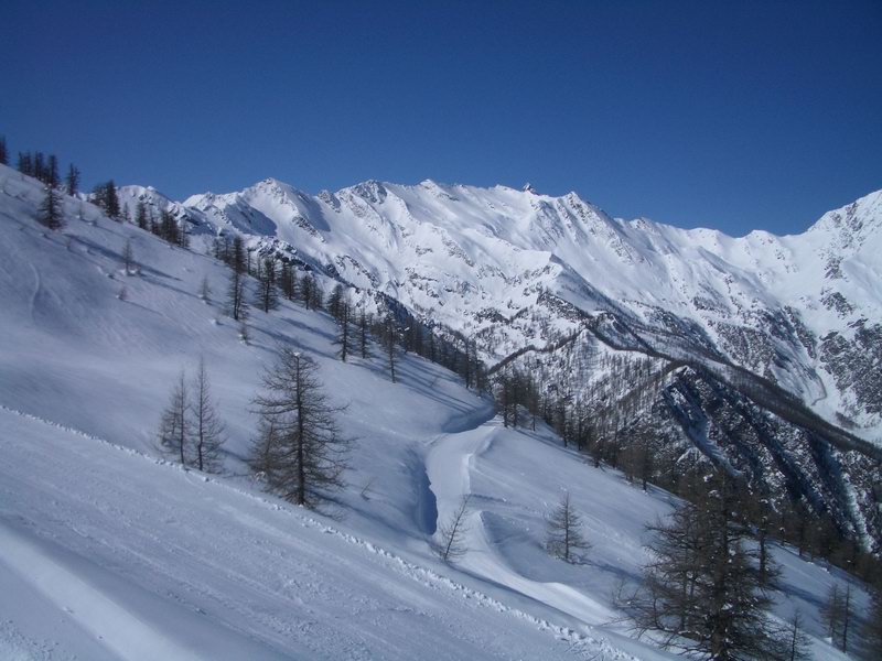 40146-prali-08.jpg