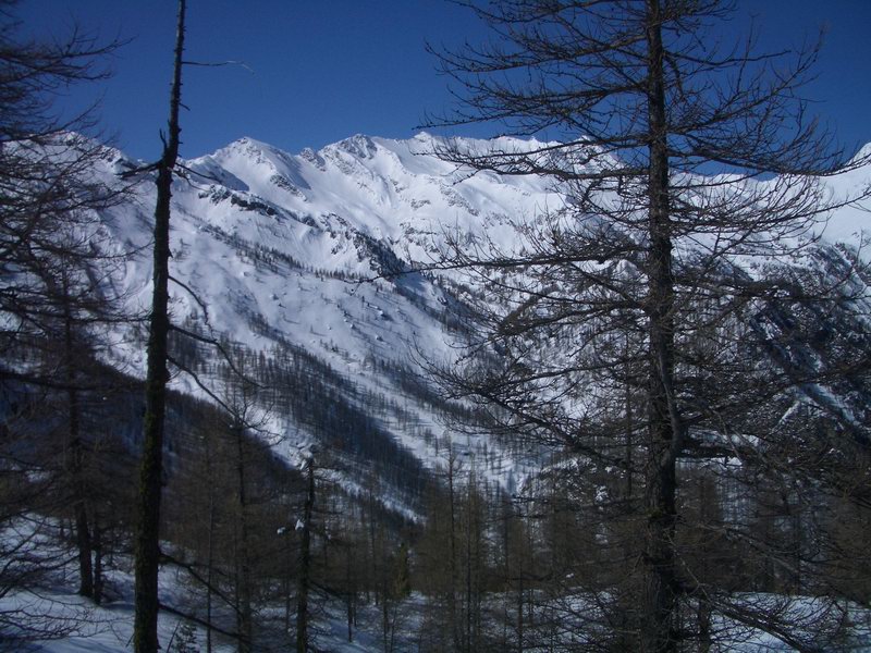 40163-prali-17.jpg