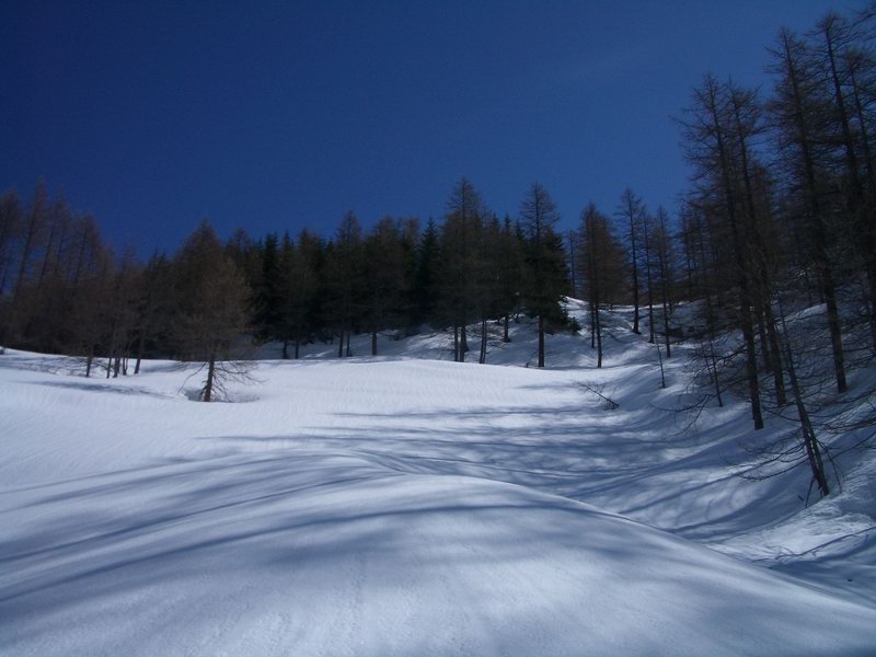 40245-prali-26.jpg