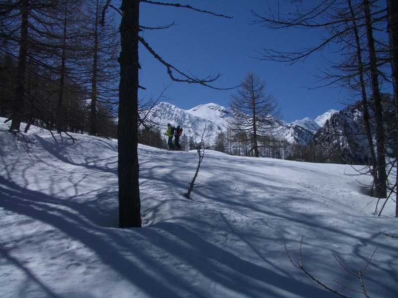 40247-prali-28.jpg