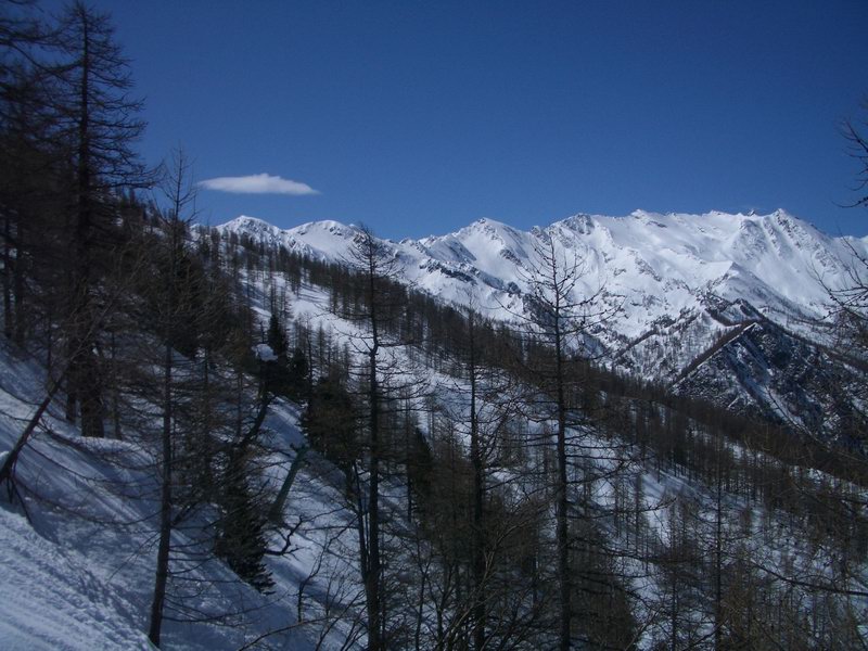 40252-prali-33.jpg