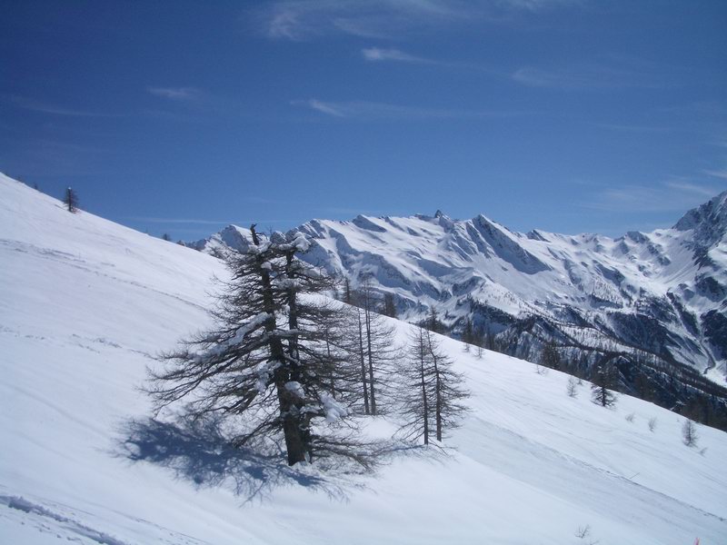 40413-prali-49.jpg